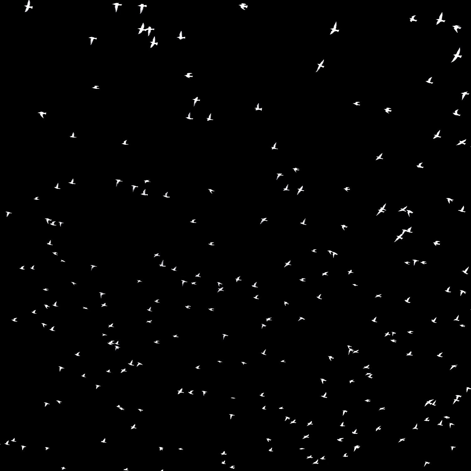 monopoli-1052 Kopie 2