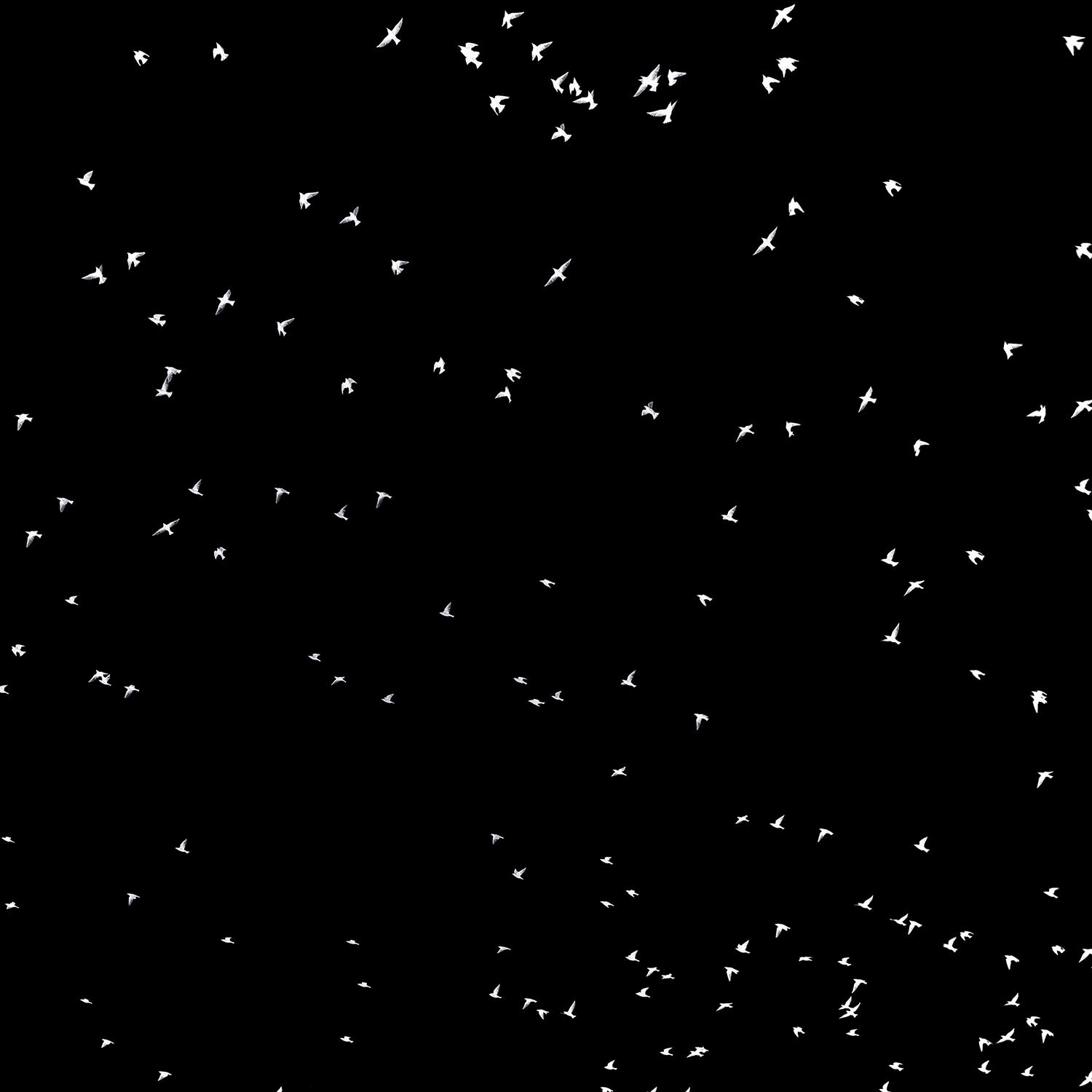 monopoli-1051 Kopie 2