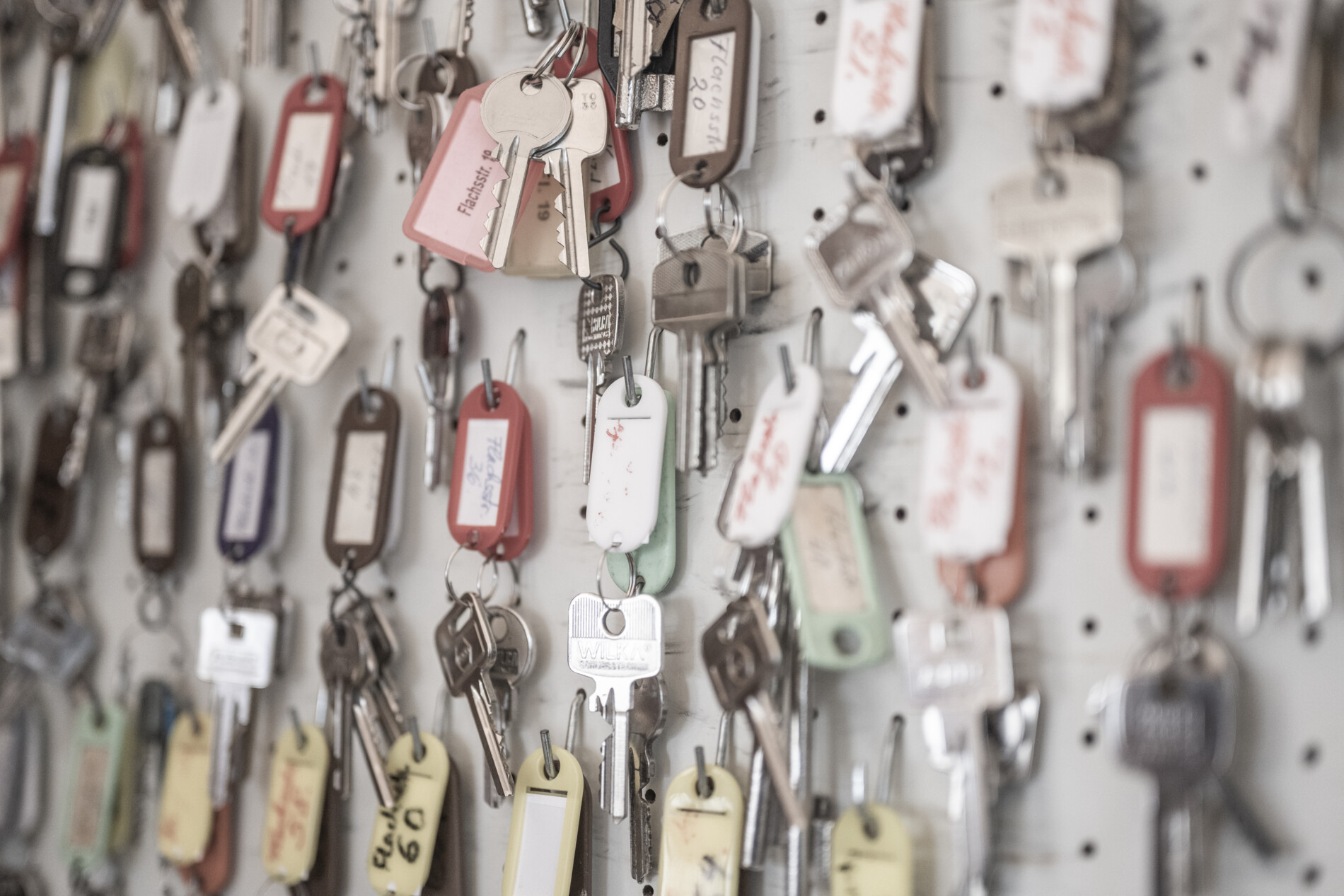 igewo-1974 igewo-1974