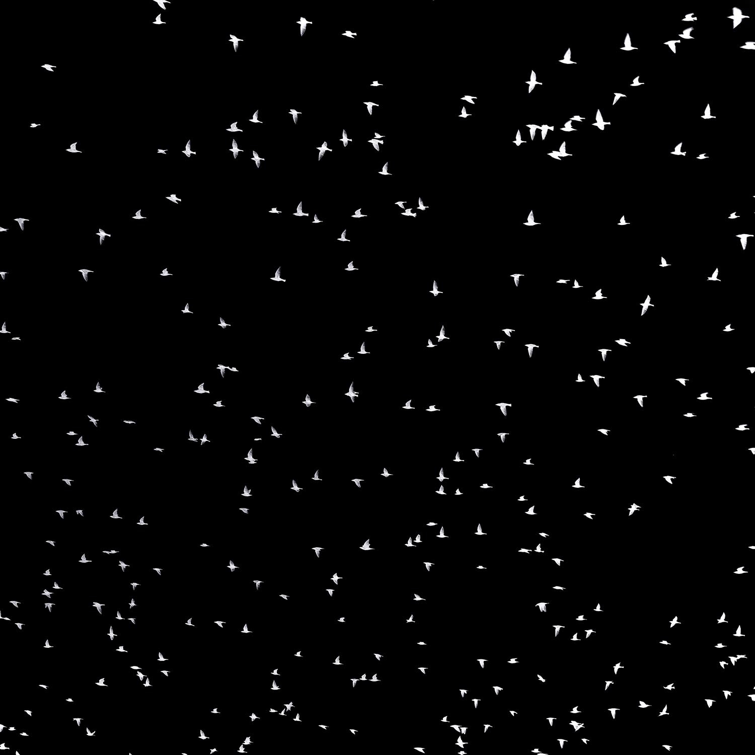 monopoli-1057 Kopie 2