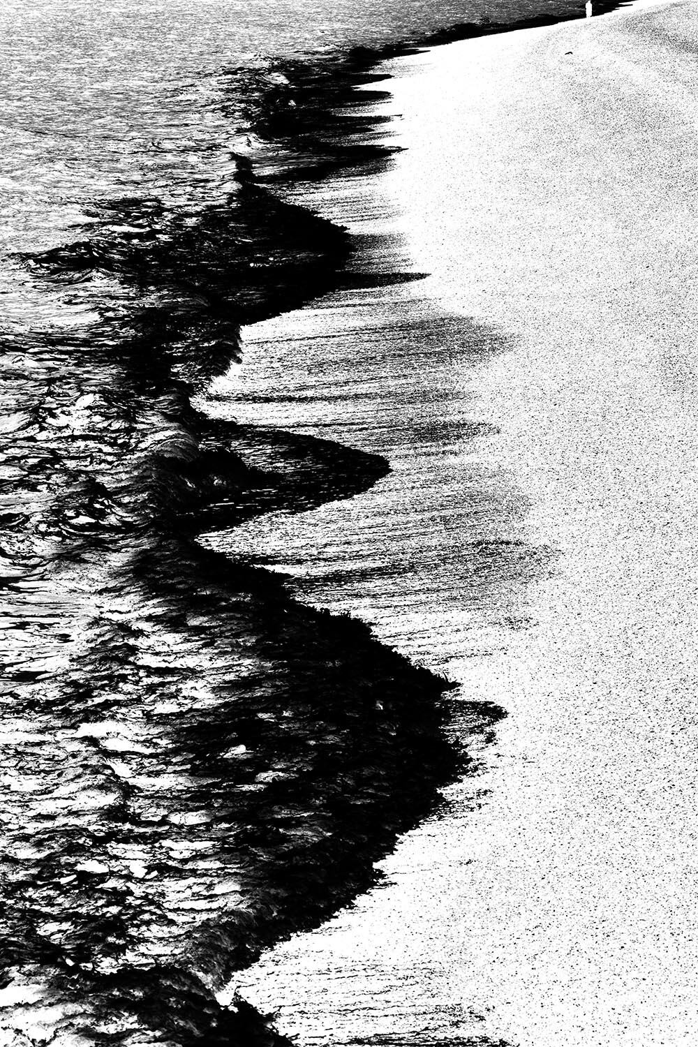 england_2025-6842 Kopie