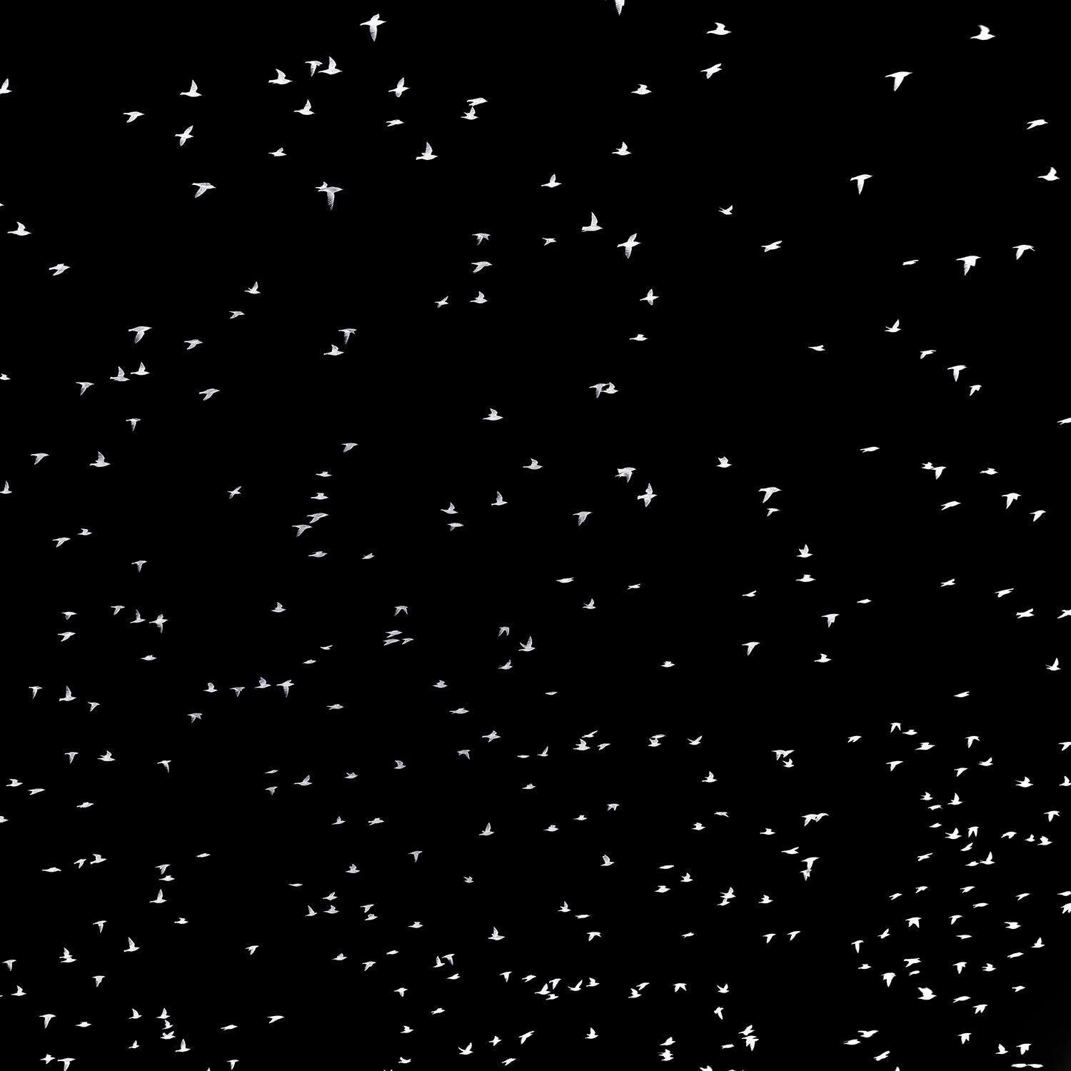 monopoli-1058 Kopie 2