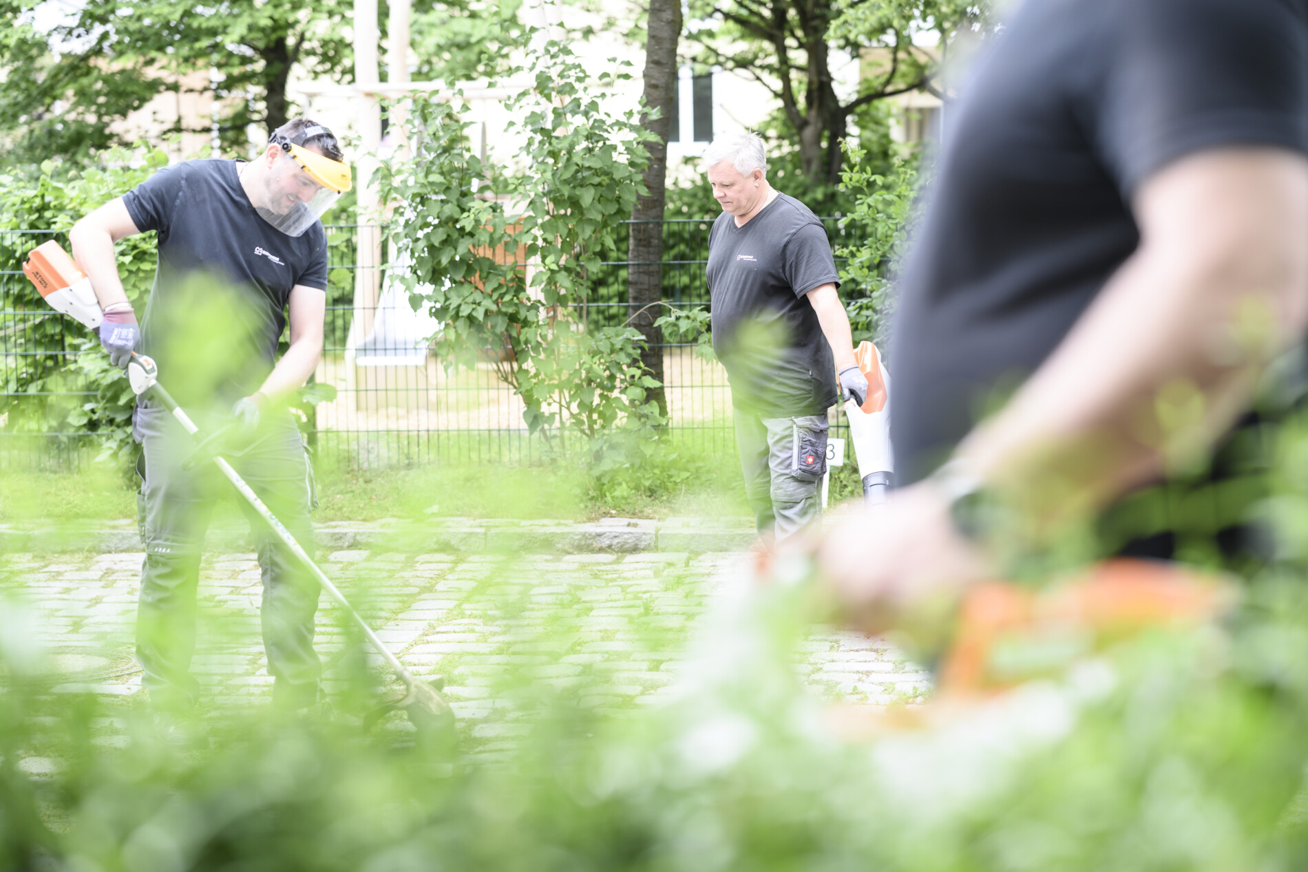 igewo2-6524 igewo2-6524