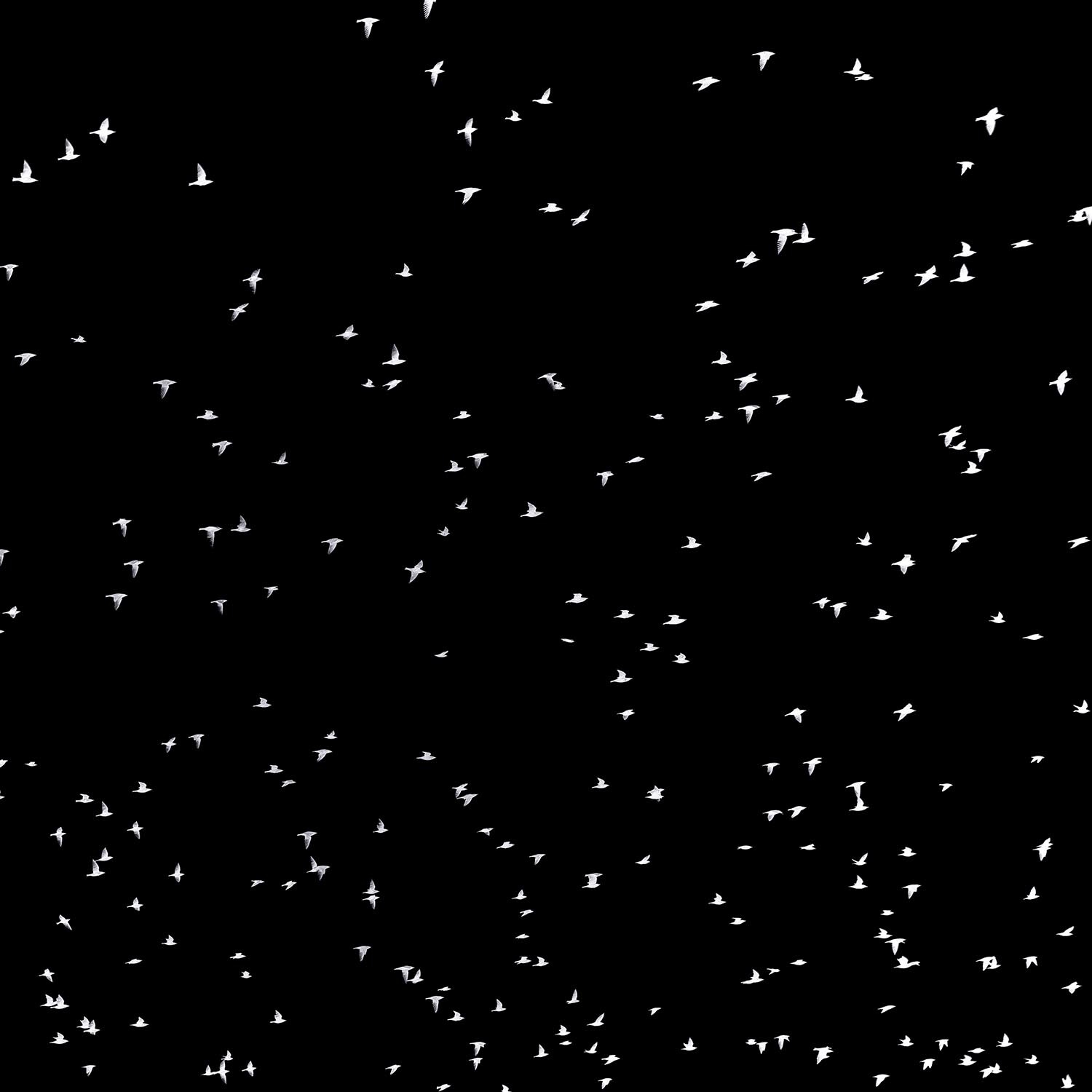 monopoli-1056 Kopie 2