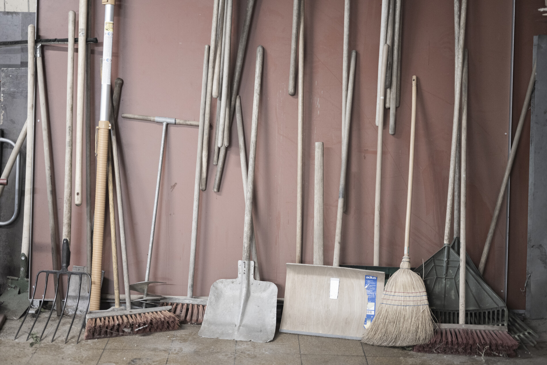 igewo-2010 igewo-2010