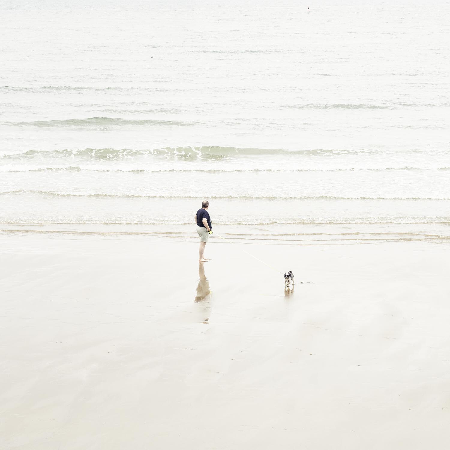 mann_hund_england-6657 Kopie