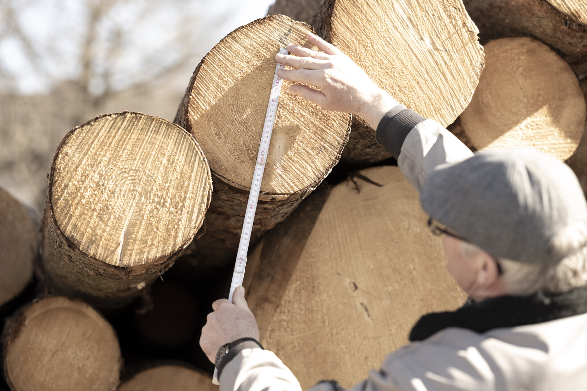 schlecht2-3049 schlecht2-3049