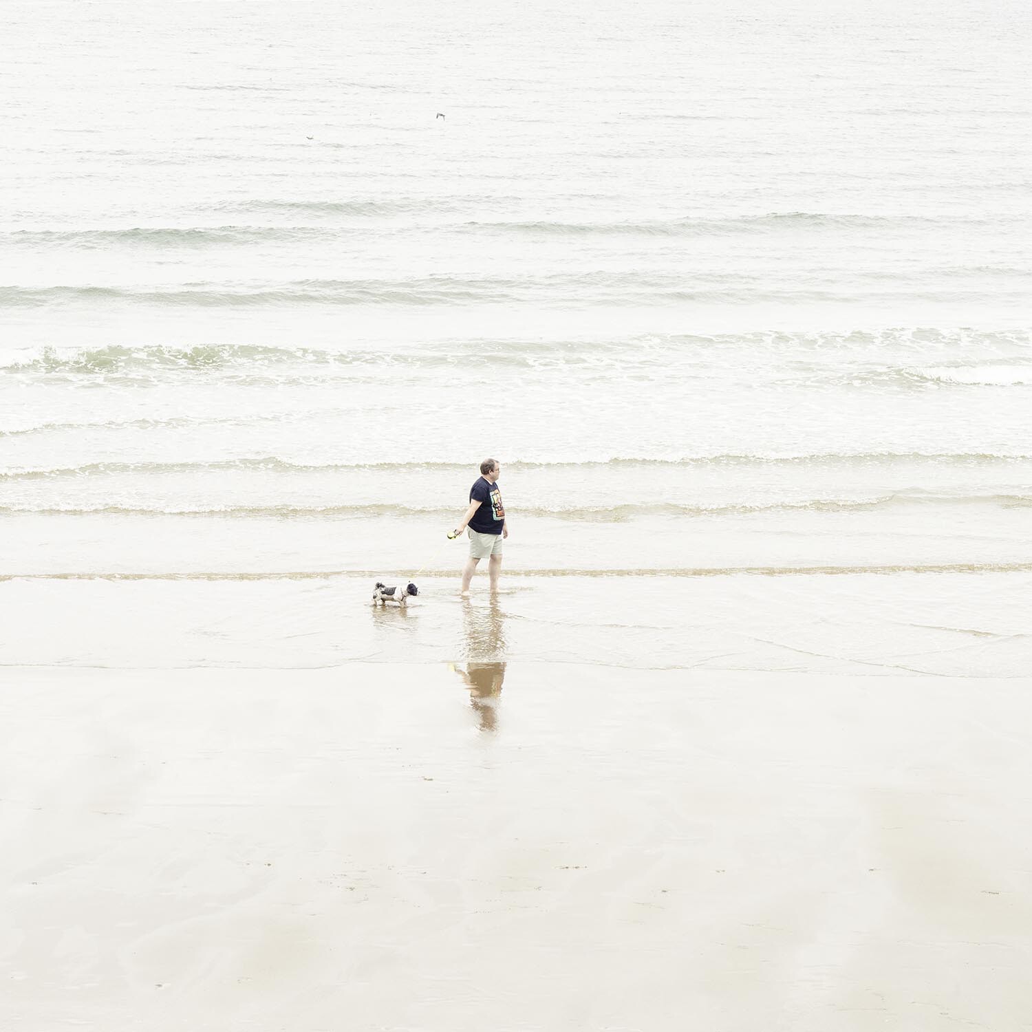 england_2025-6635 Kopie