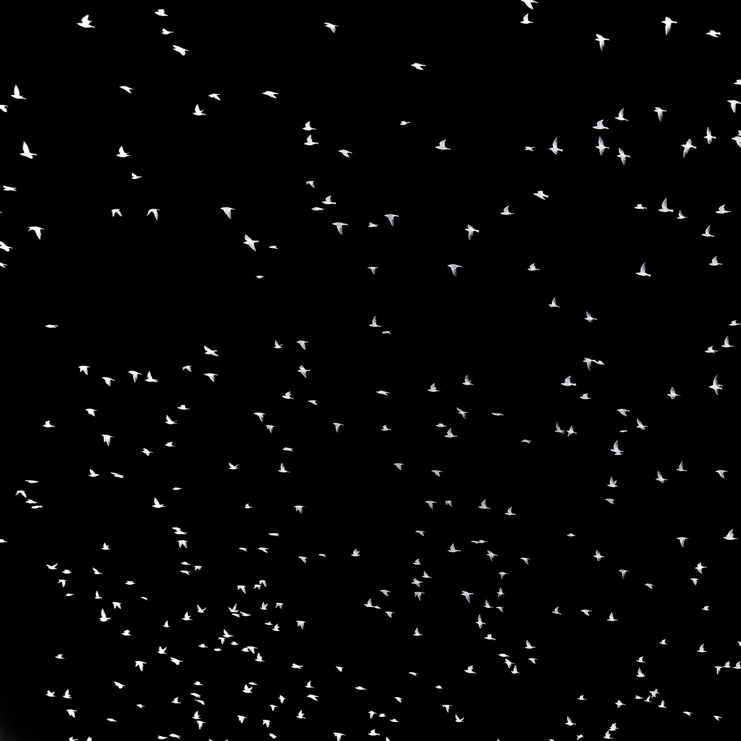 monopoli-1057-2 Kopie 2