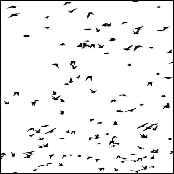 Alfred Hitchcock live